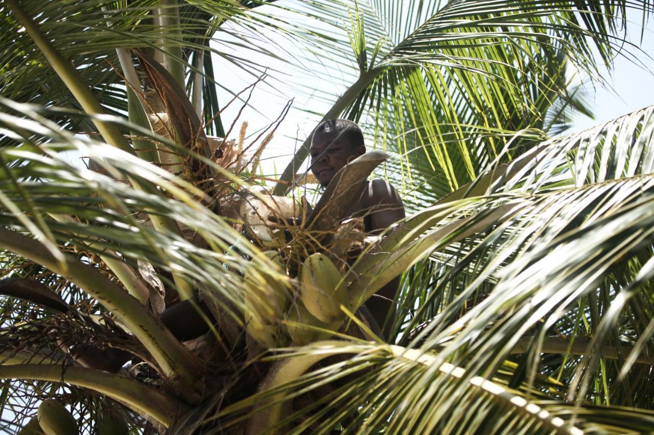 Coconut Village Beach Resort Diani Beach Exterior photo